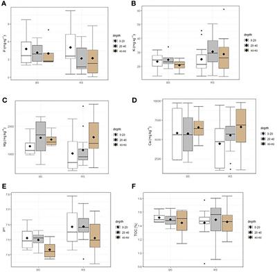 Effects of 15-Year-Old Plantation on Soil Conditions, Spontaneous Vegetation, and the Trace Metal Content in Wood Products at Kipushi Tailings Dam